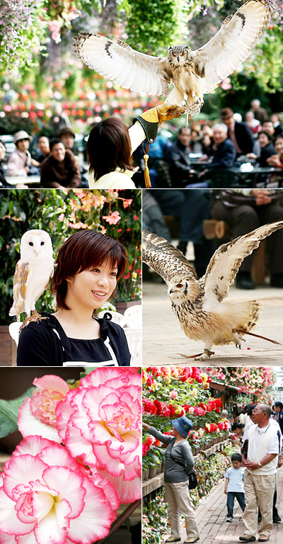 動物とのふれあいの場