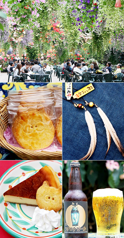 楽しいコンテンツ盛りだくさん