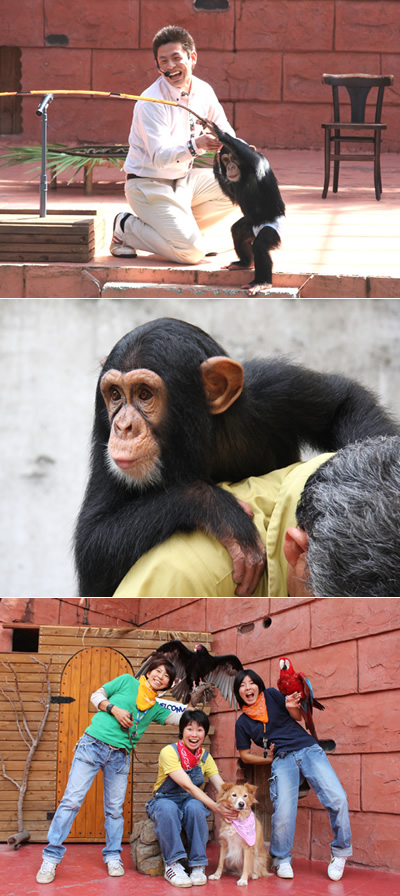 動物たちのかわいい姿にくぎ付け！